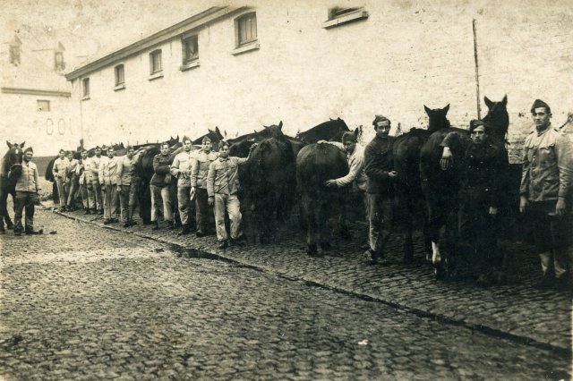 Maurice Bekaert verzorgen van de paarden